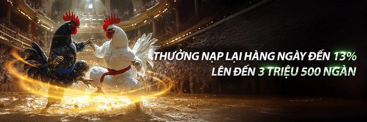 Hình ảnh hero giới thiệu RR8 nổ hũ